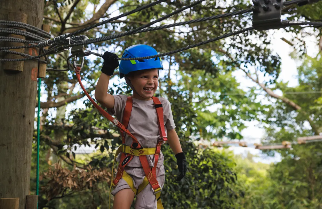 Image of Wild Ropes Treetops Adventure